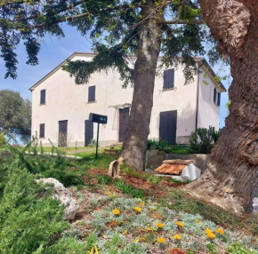 Grazioso cottage di campagna
